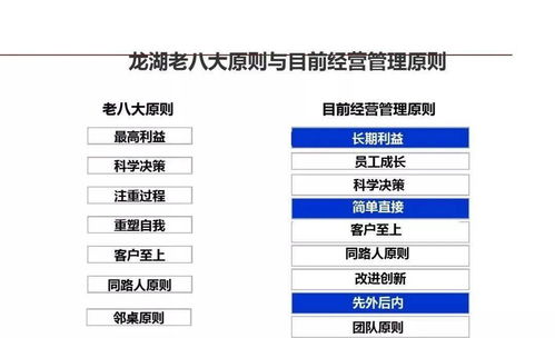 龍湖企業管理的精益之道 運營精細化管理提升企業核心競爭力